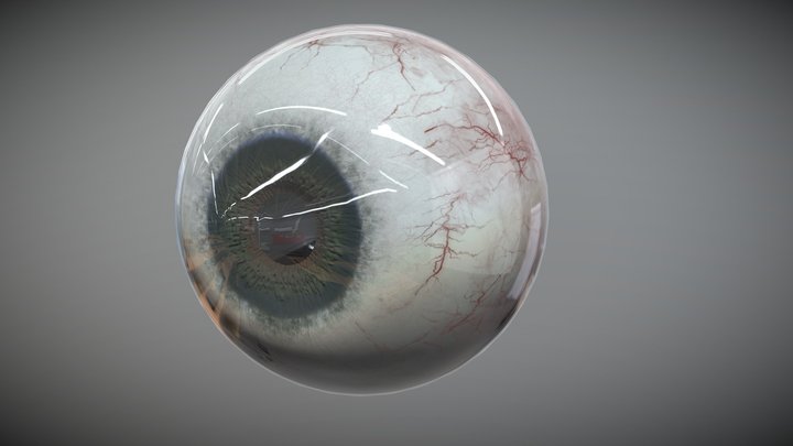 Eyeball 3D Model