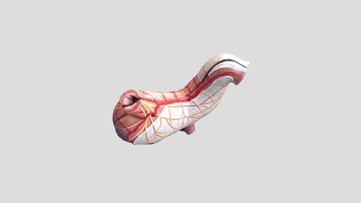 3DModel 3D Model