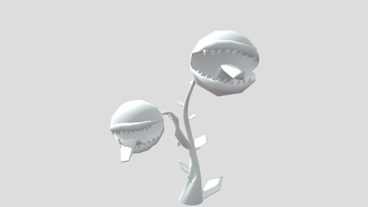 Fly Trap 3D Model