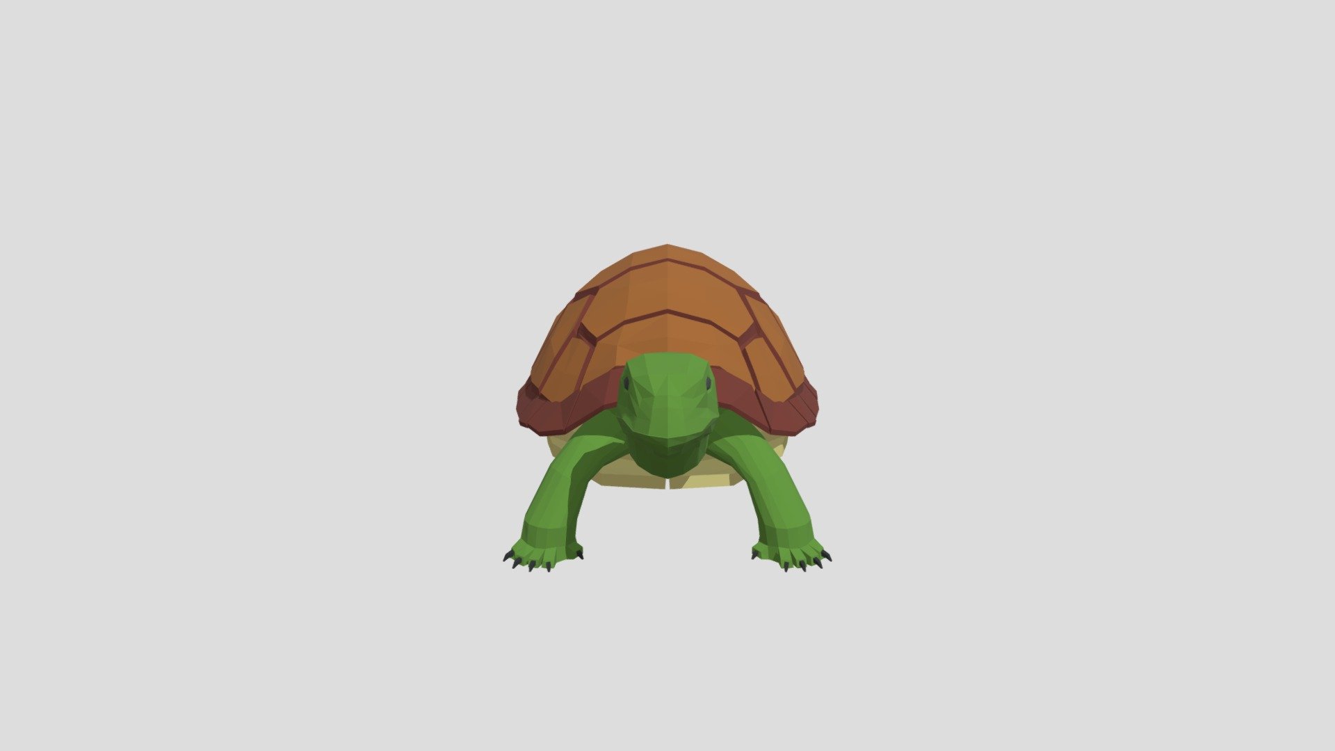 Turtle from Poly by Google