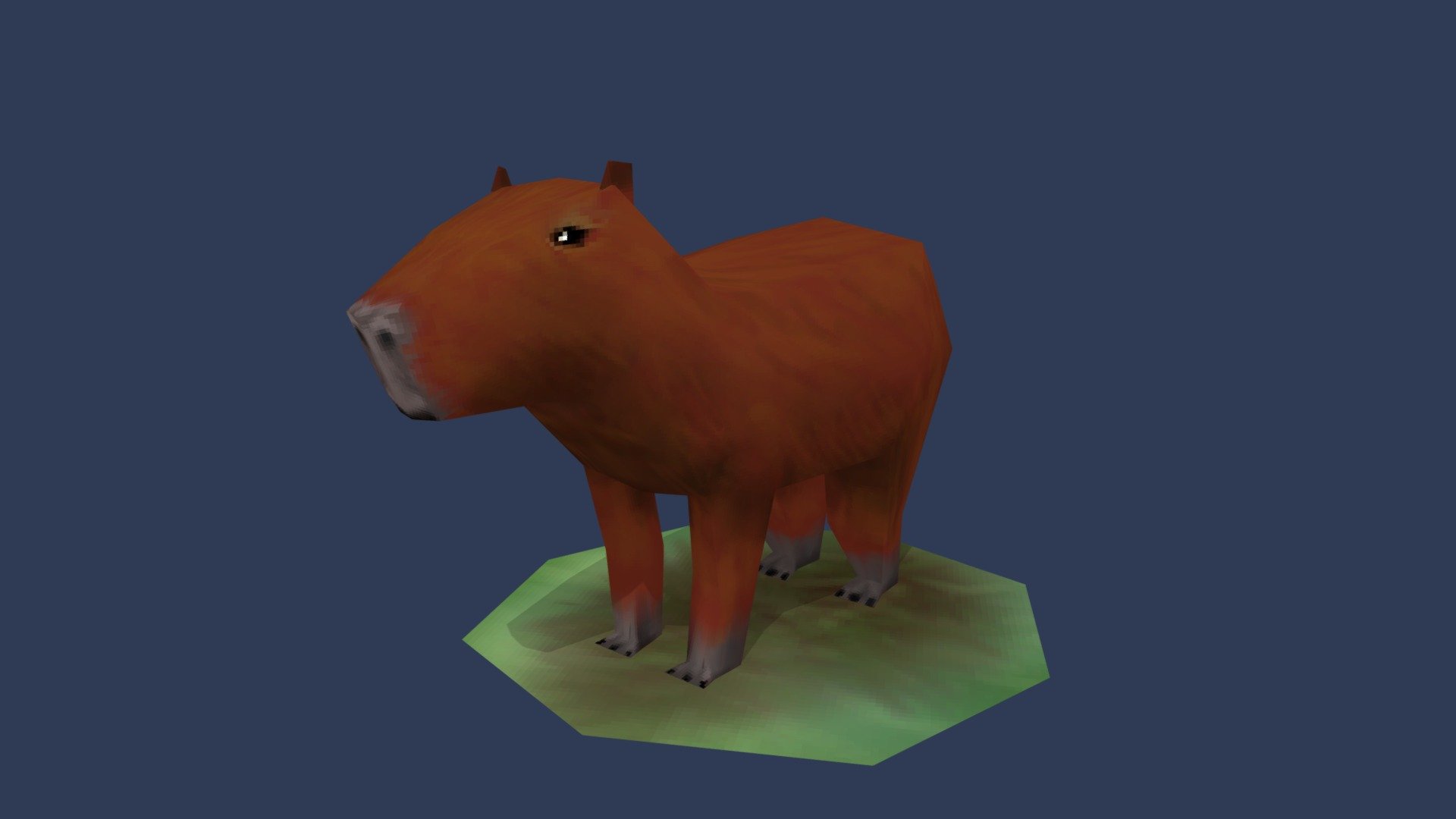 Capybara