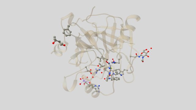 Enoxaparin 3D Model
