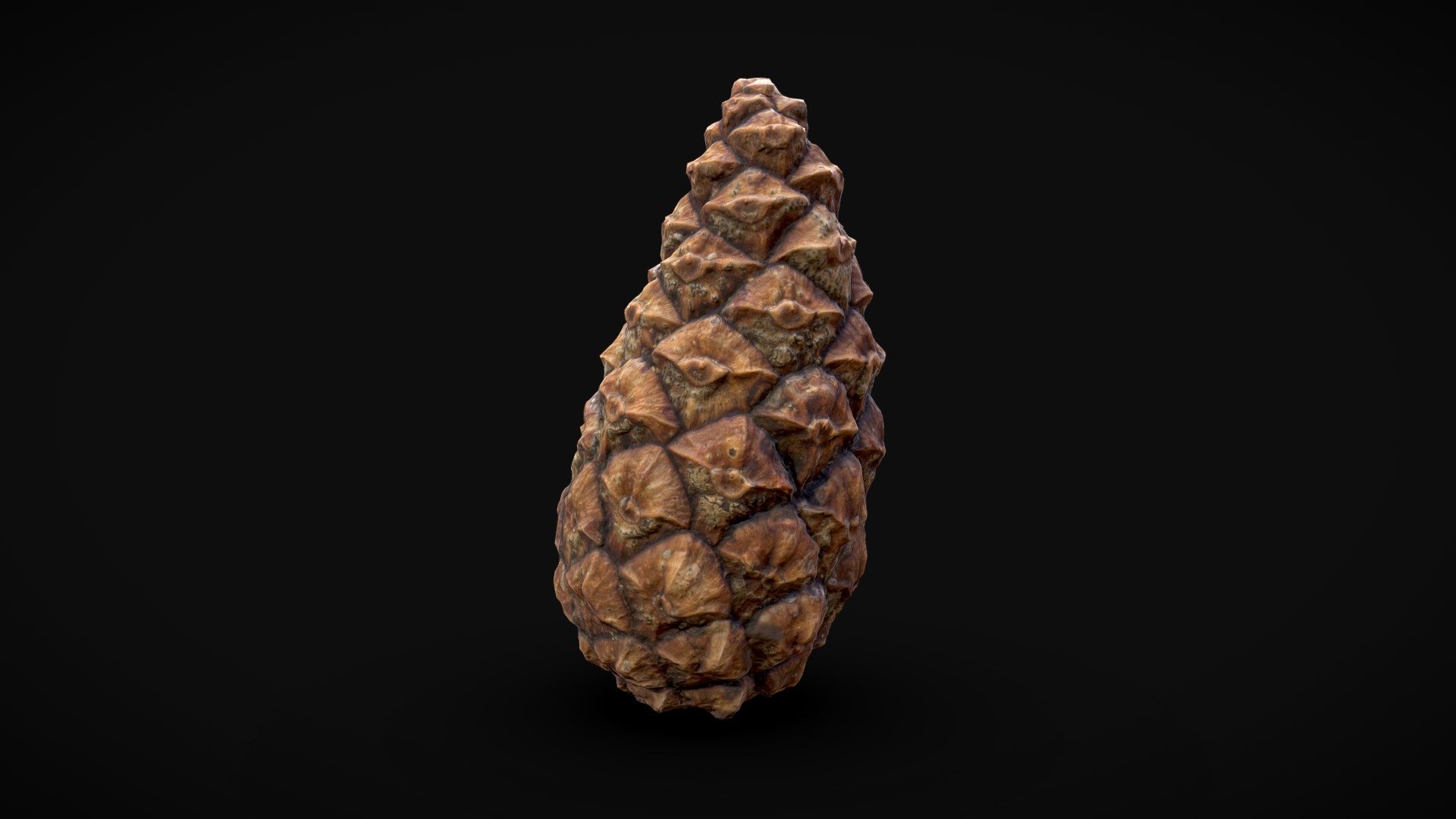 Pinecone - Photogrammetry — Sketchfab embed 3D viewer