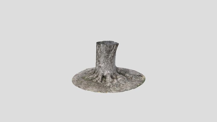Samplestump 3D Model