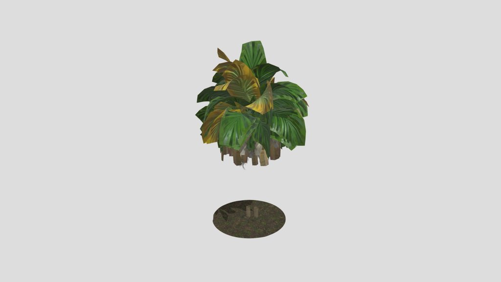 Palm A