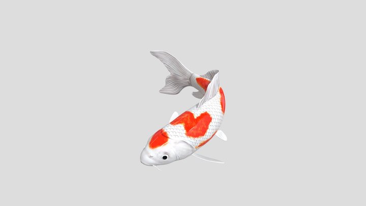 IkanKoi3D_032 3D Model