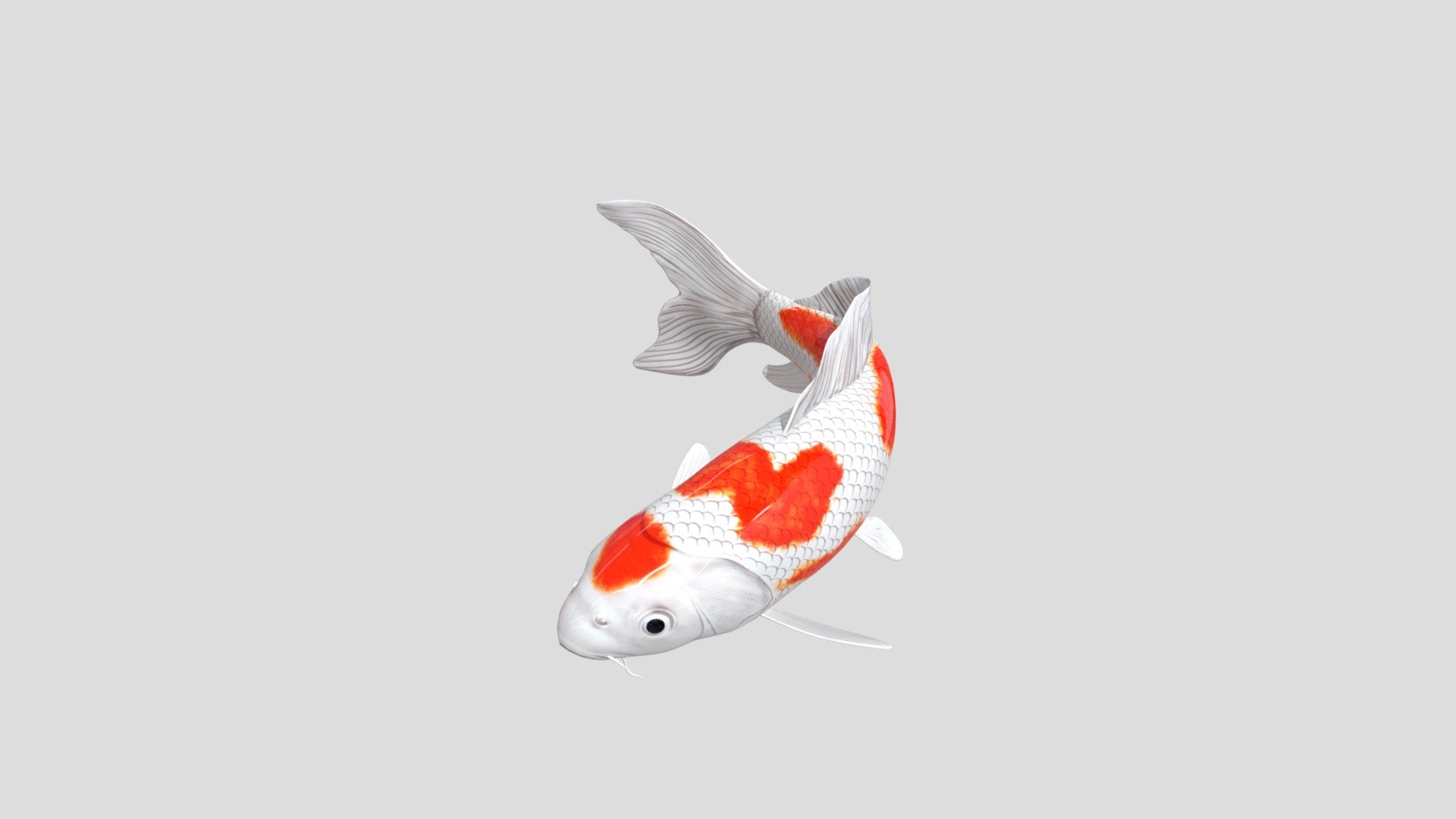 IkanKoi3D_032