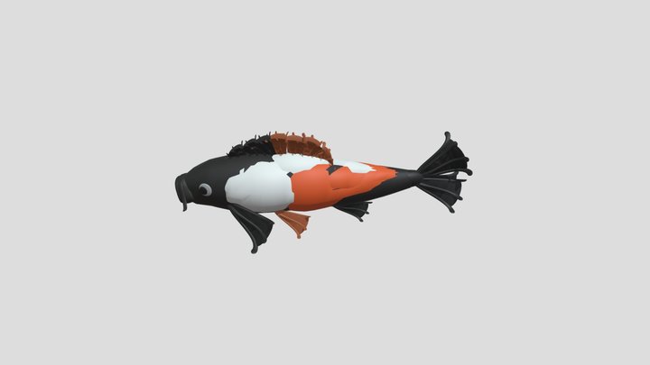 Fishcolor3 3D Model