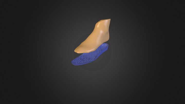 insole 3D Model