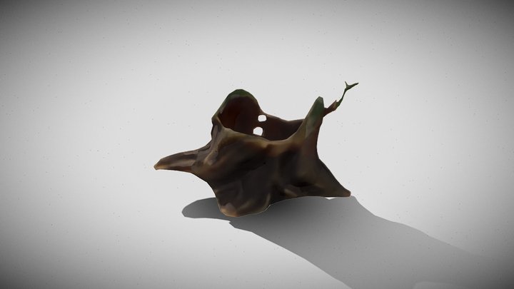 tree stump (lowpoly) 3D Model