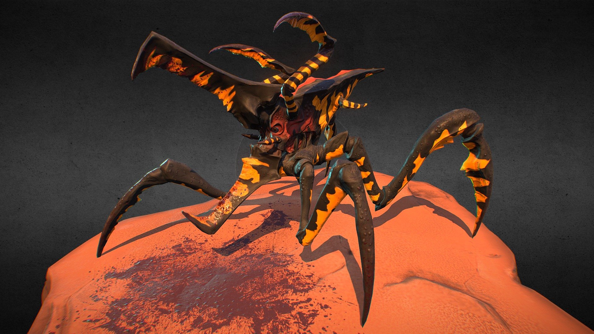 Arachnid - 3D model by adami.