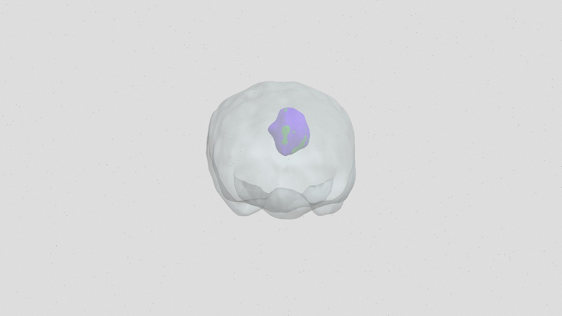 Merged Segs - 3D model by emmakatebuch [721d7c3] - Sketchfab