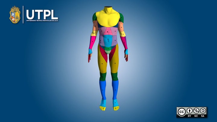 Regiones del abdomen, pelvis y extremidades – Modello 3D gratuito STL