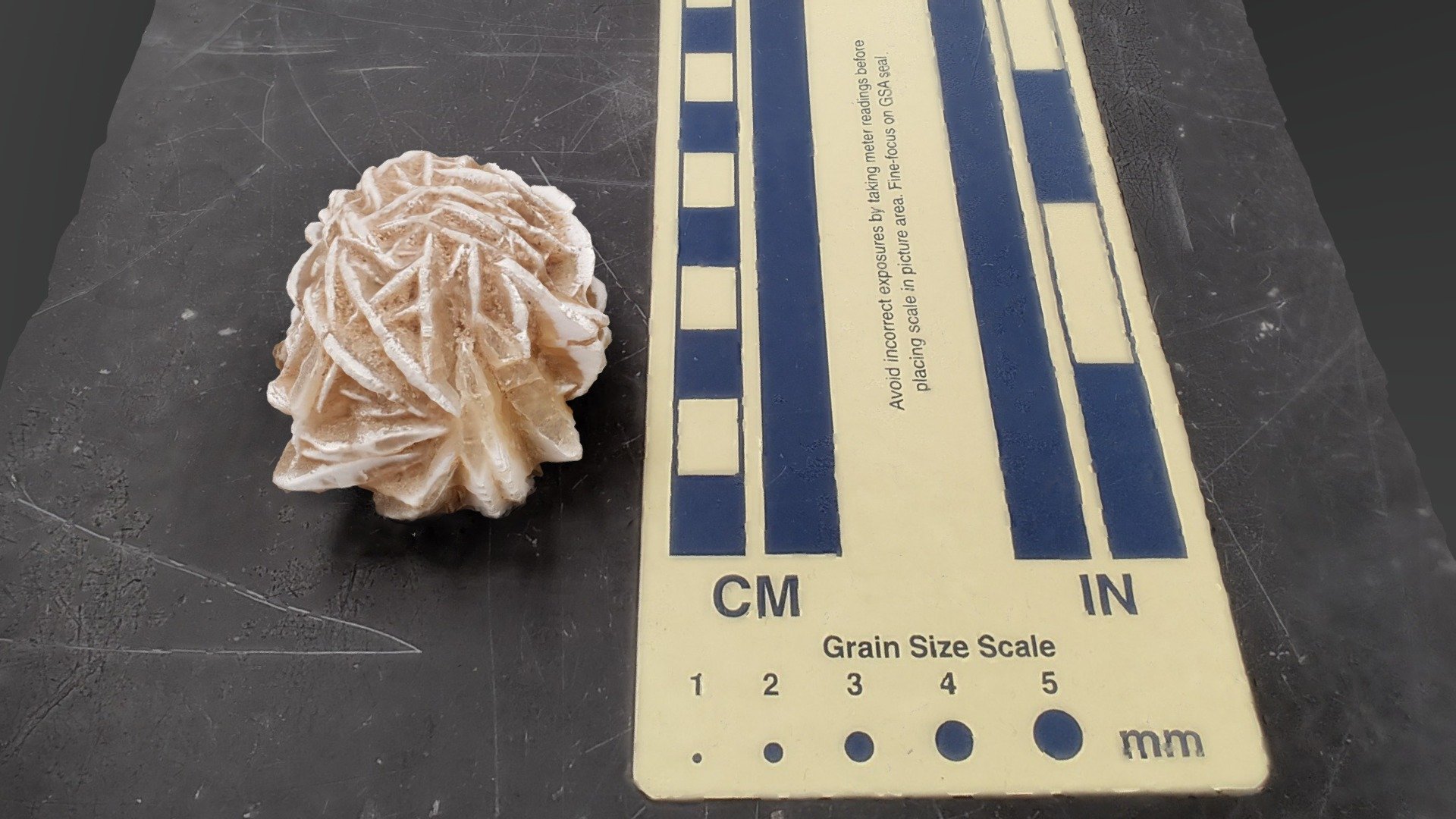 Selenite "Desert" Rose