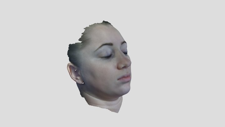 Merci 3D Model