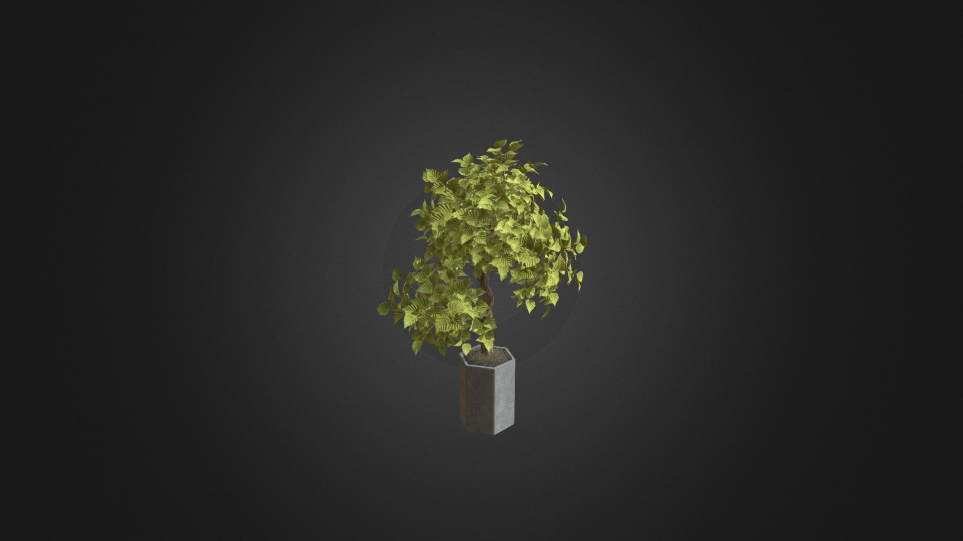 3D model Bonsai Tree in Grey Pot - This is a 3D model of the Bonsai Tree in Grey Pot. The 3D model is about a small plant in a pot.