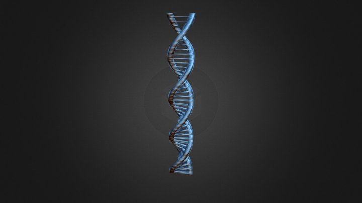 DNA Helix 3D Model