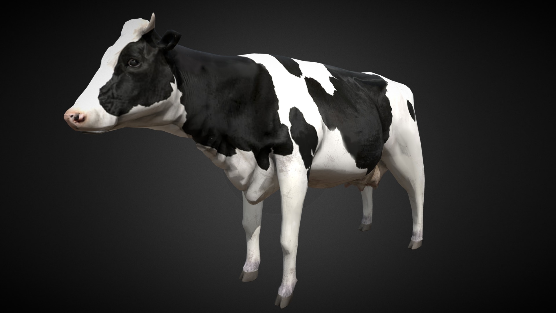 3D model Cow - This is a 3D model of the Cow. The 3D model is about a cow with a black background.