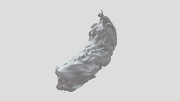 Extrudat_02 3D Model