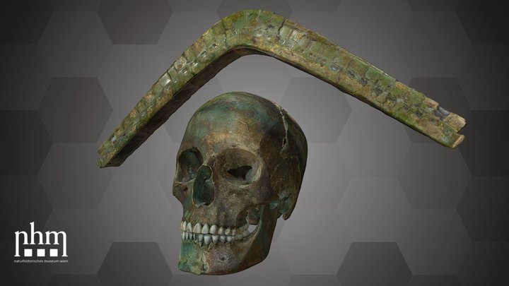 Skull and Headgear (NHMW-PRAE-24144 & 130000) – Kostenloses 3D-Modell STL