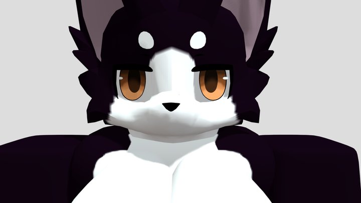 Ayo What The Hell Up!!! 3D Model