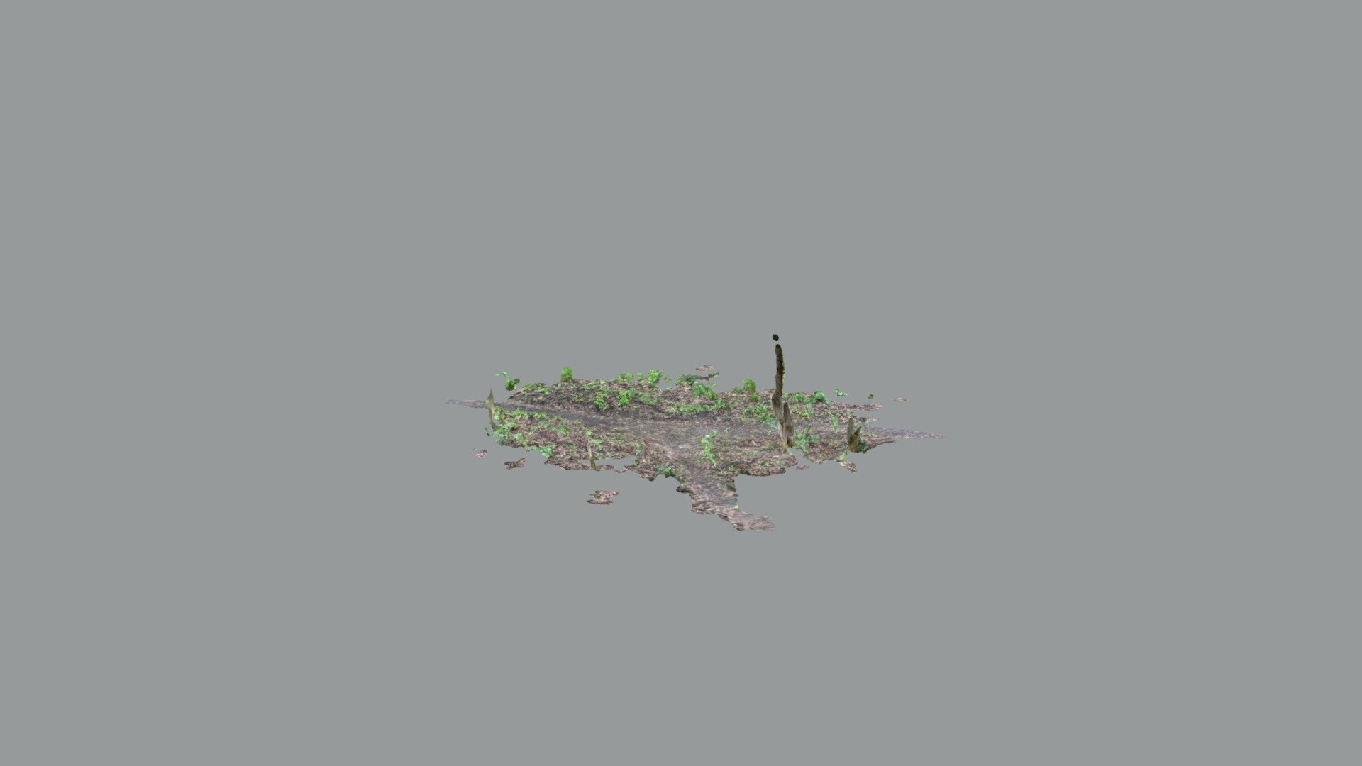 Woods 1 Scaniverse