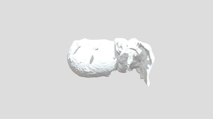 Textured Mesh2 3D Model
