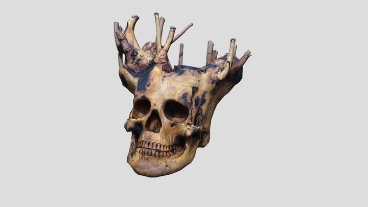 Wooden Skull 3D Model