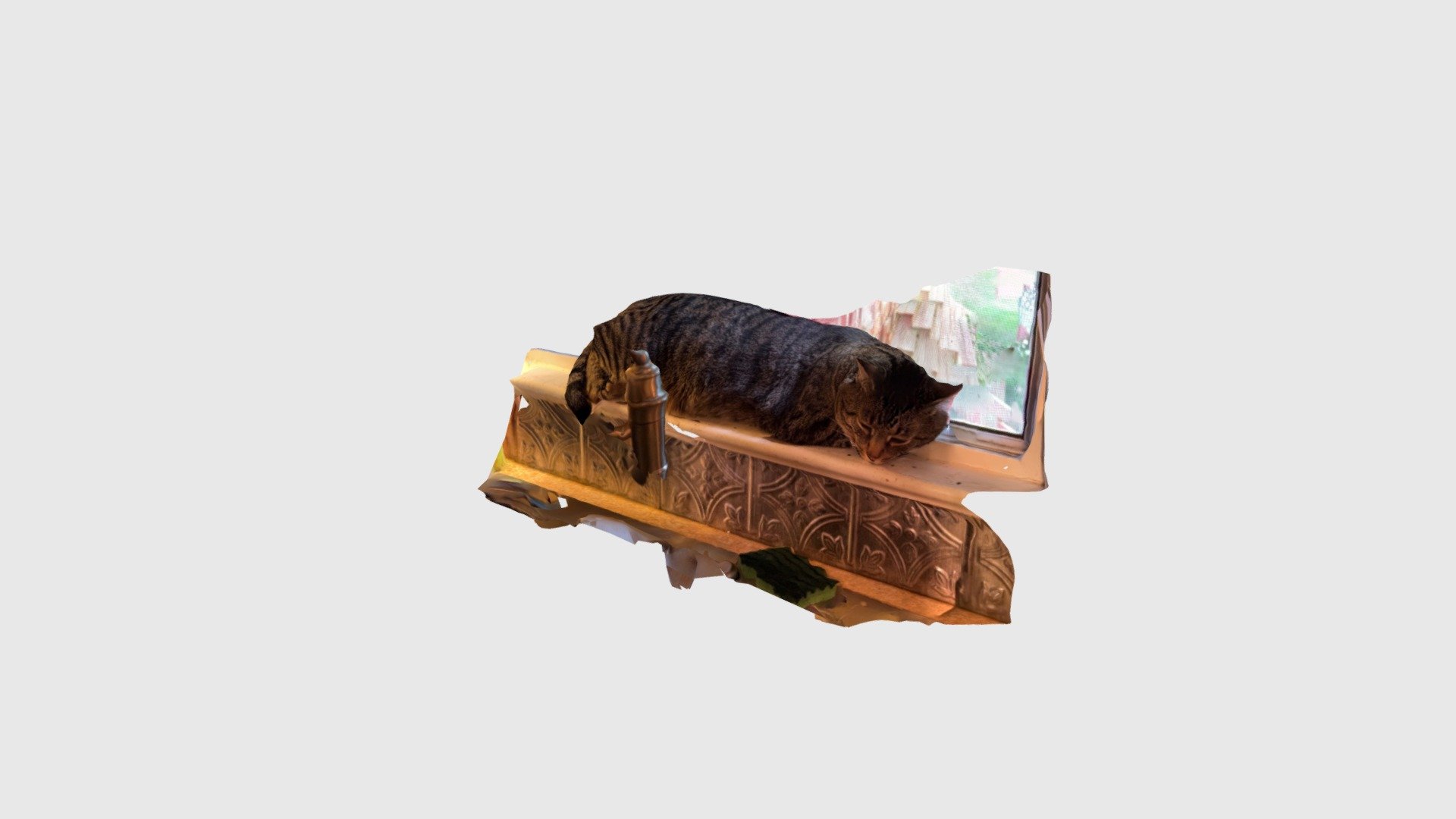 Cocoa Bean