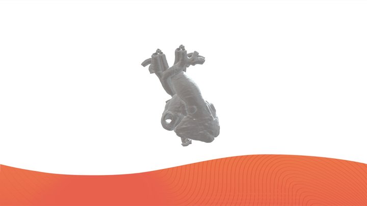USP10226_blood pool_hepatic_ vein 3D Model