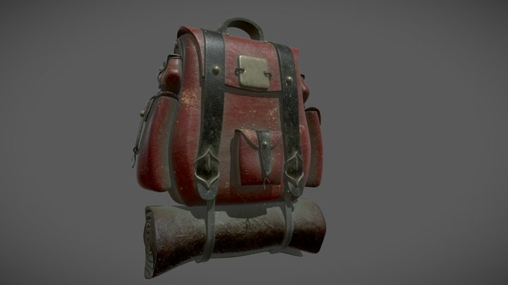 Bag Texture 3D Model