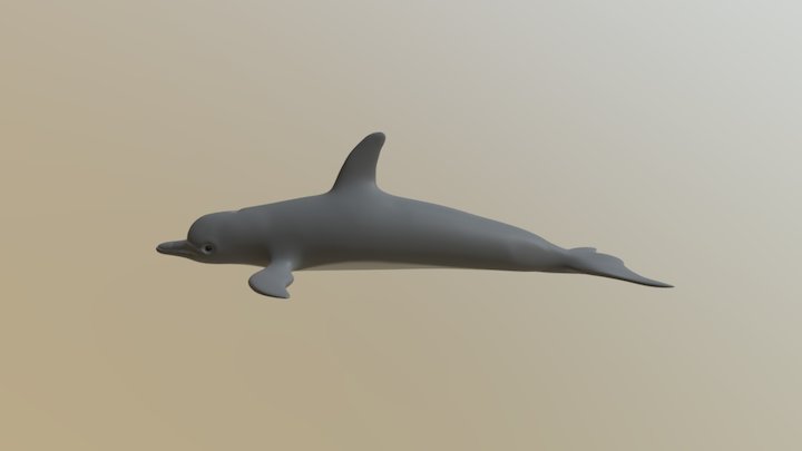 Dolphin (ZBrush) 3D Model