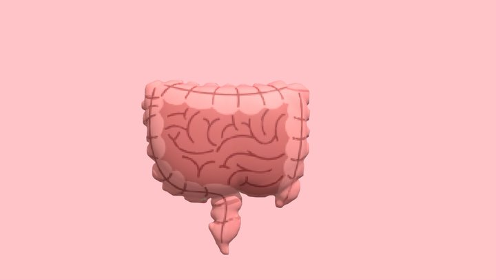 usus 3D Model