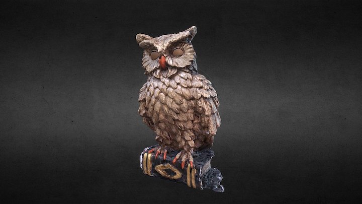 Coruja owl 3D Model