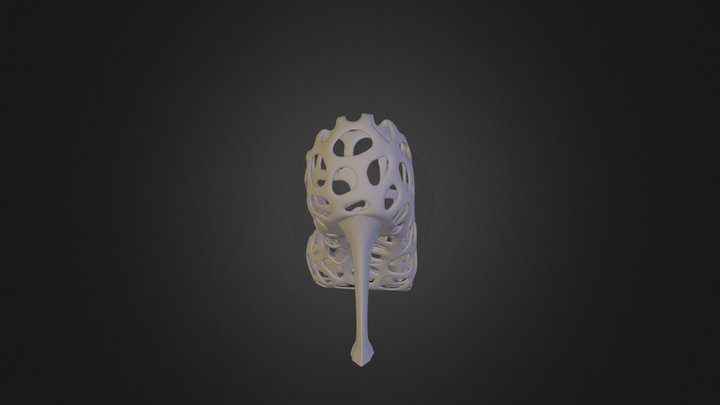 Voronoi_Heels_RIGHT 3D Model