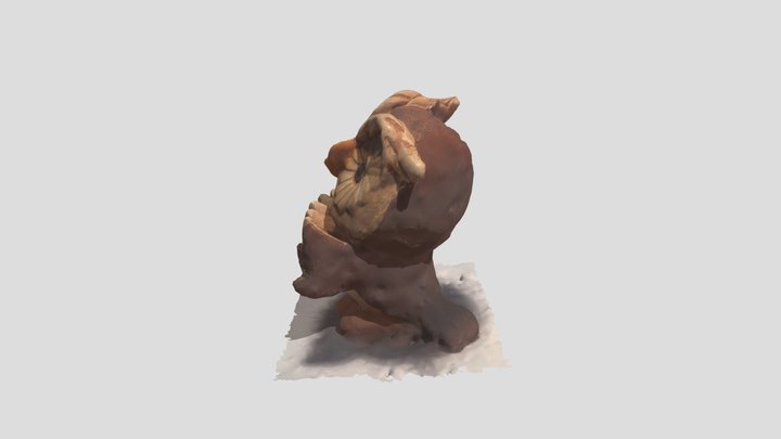 gufo f 3D Model