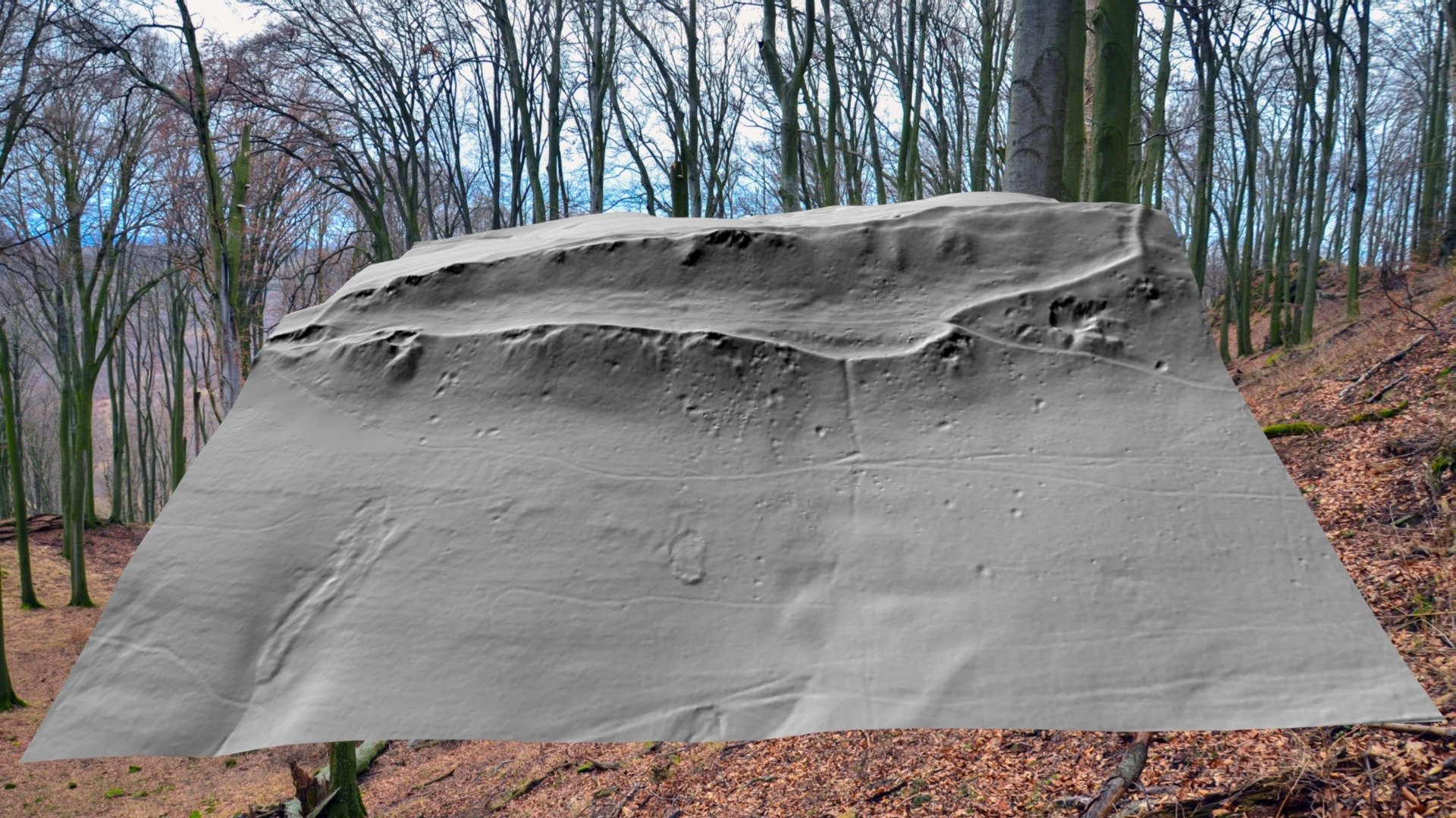 Holý kopec - detail vrcholového hradiště