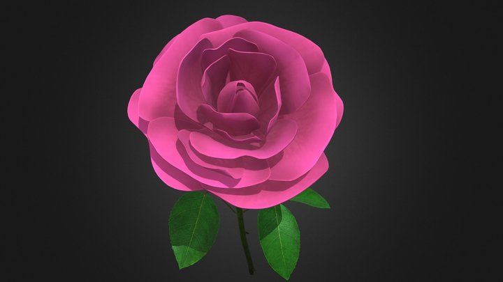 Pink Rose 3D Model