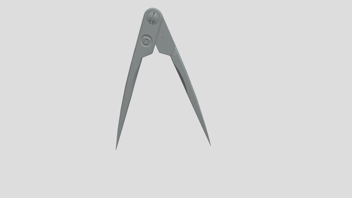 Something for Chris 3D Model
