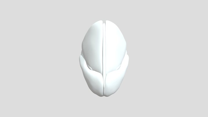 Cartilagos Nariz Modificada - Version2 3D Model