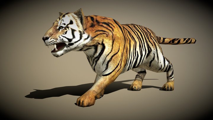 3DRT - Safari animals - Tiger 3D Model