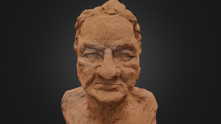 Plasticine Bust Fixed