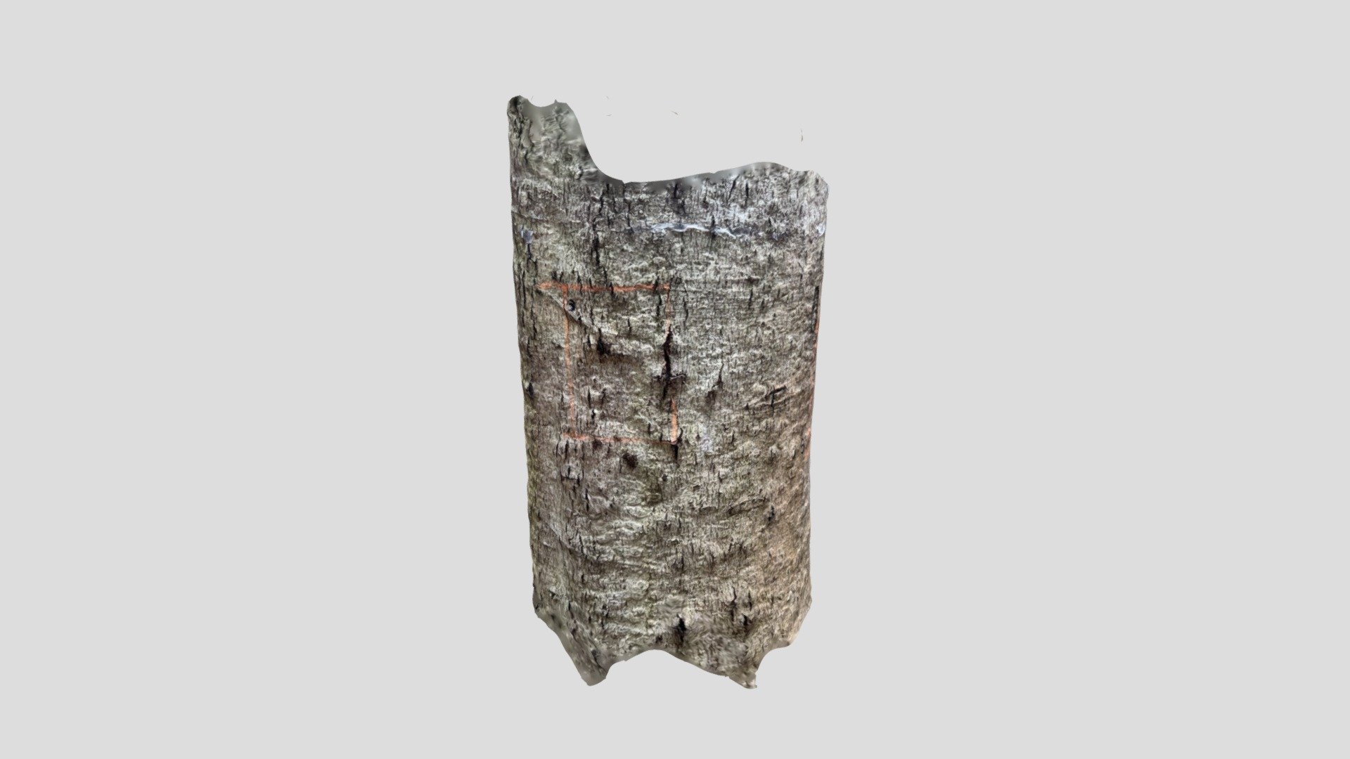 Dendroken