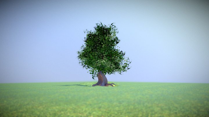 Tree 3D Model