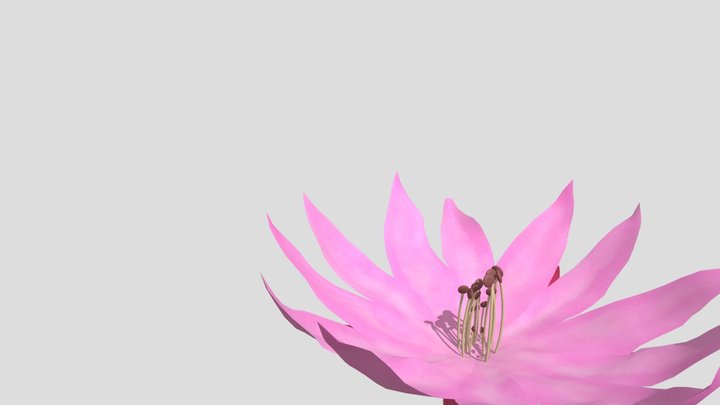 Flower 3D Model