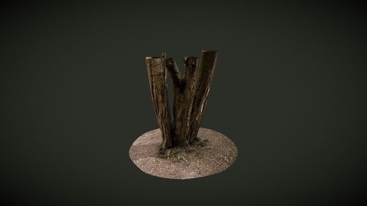 Photogrammetry tree 3D Model