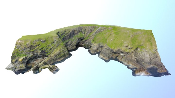 Shoabull,Foula 3D Model