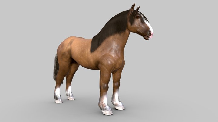 HORSE [DRAFT HORSE] 3D Model