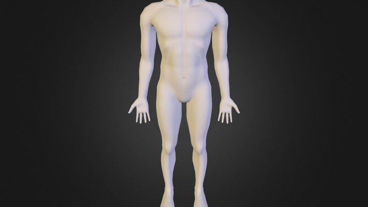 cuerpo solo reducido 3D Model