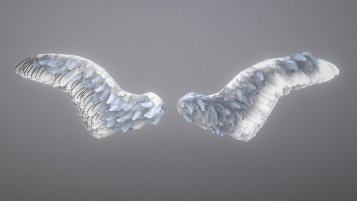 Blender Wings - White